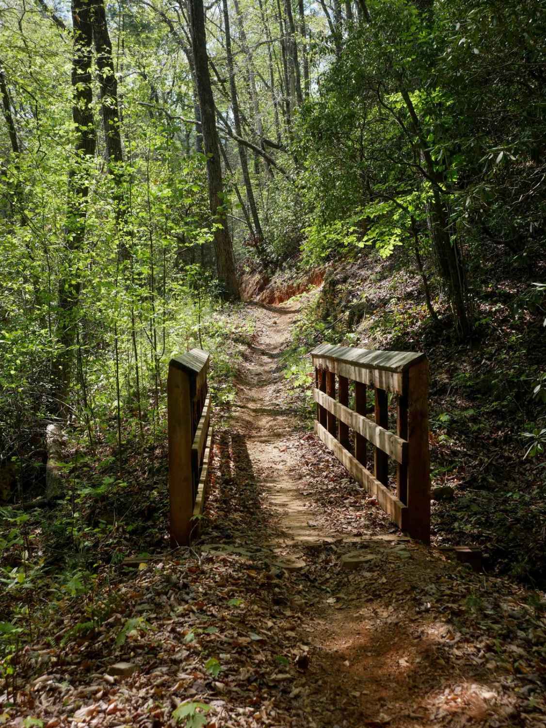 Double Bridges Trail F