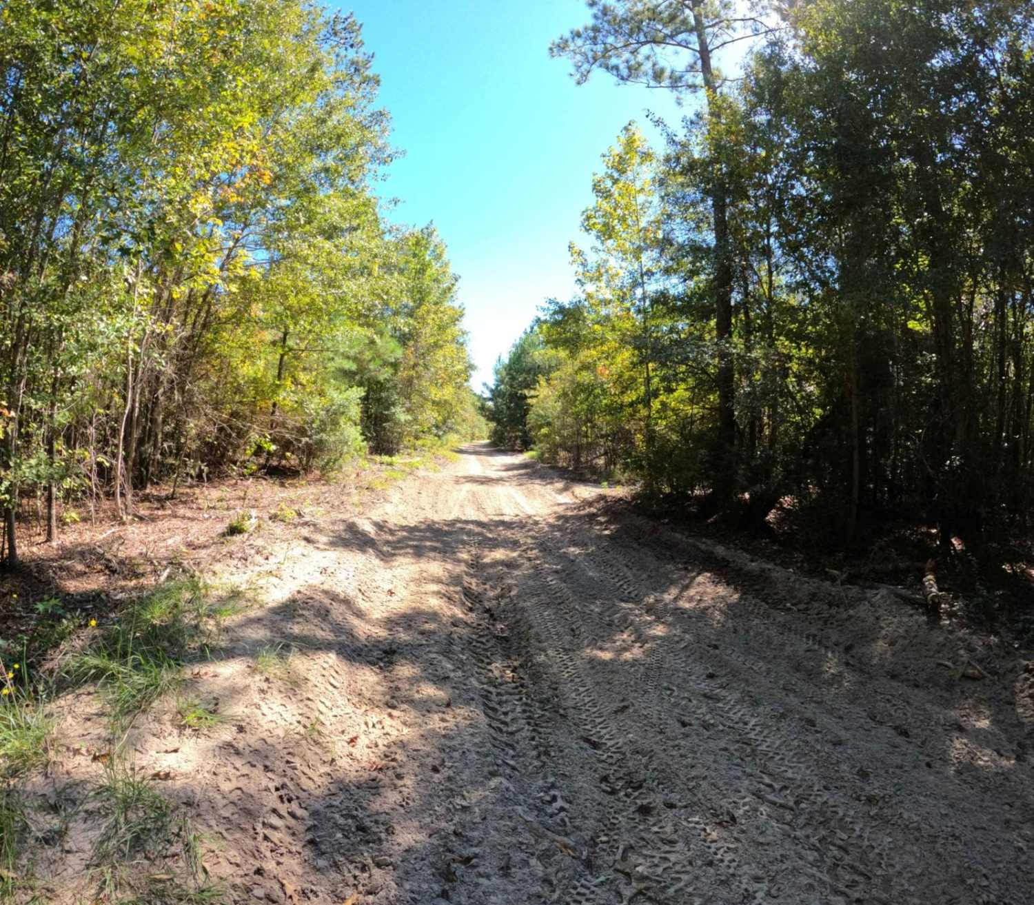 Gail's Trail