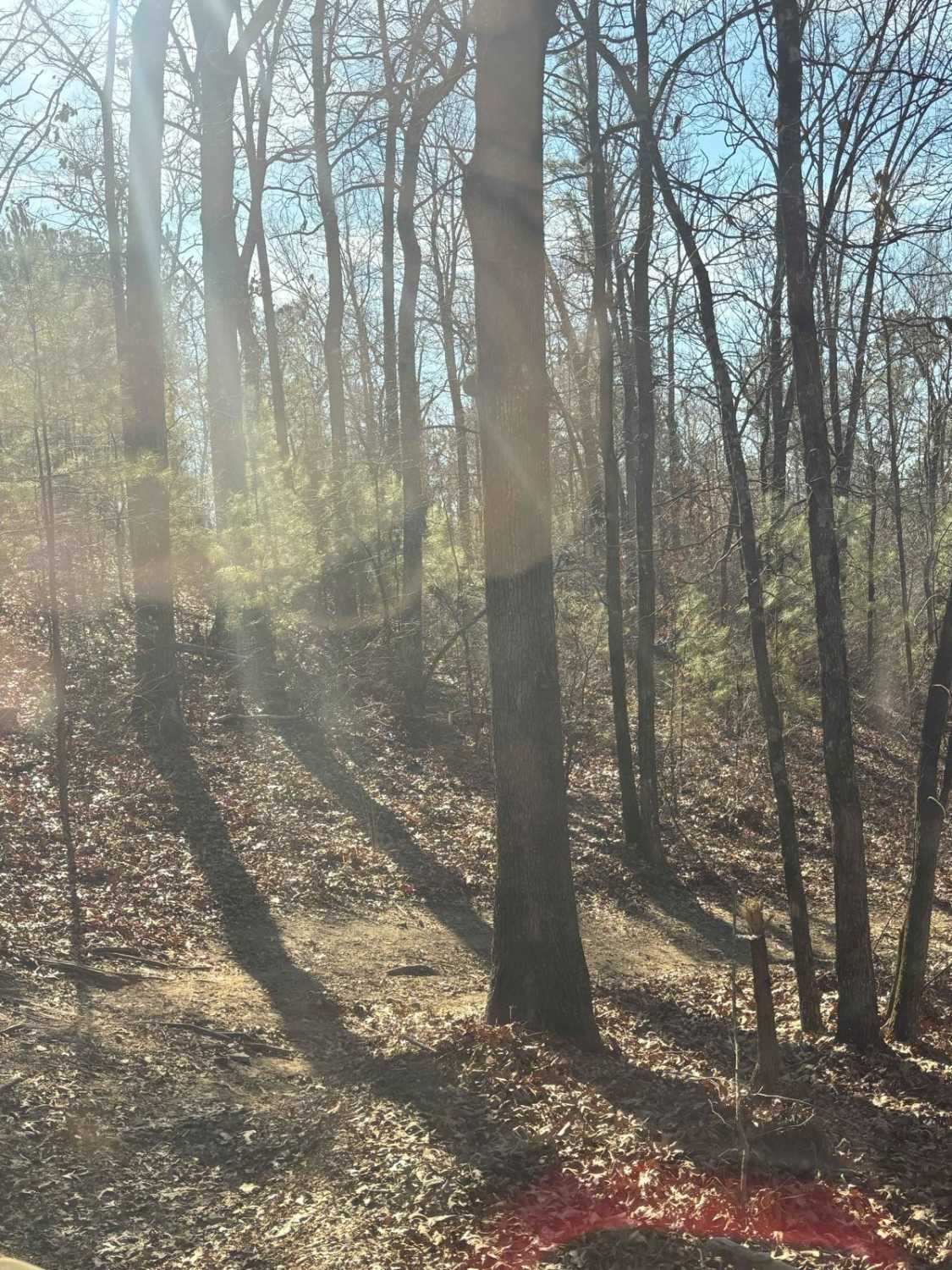 56A
