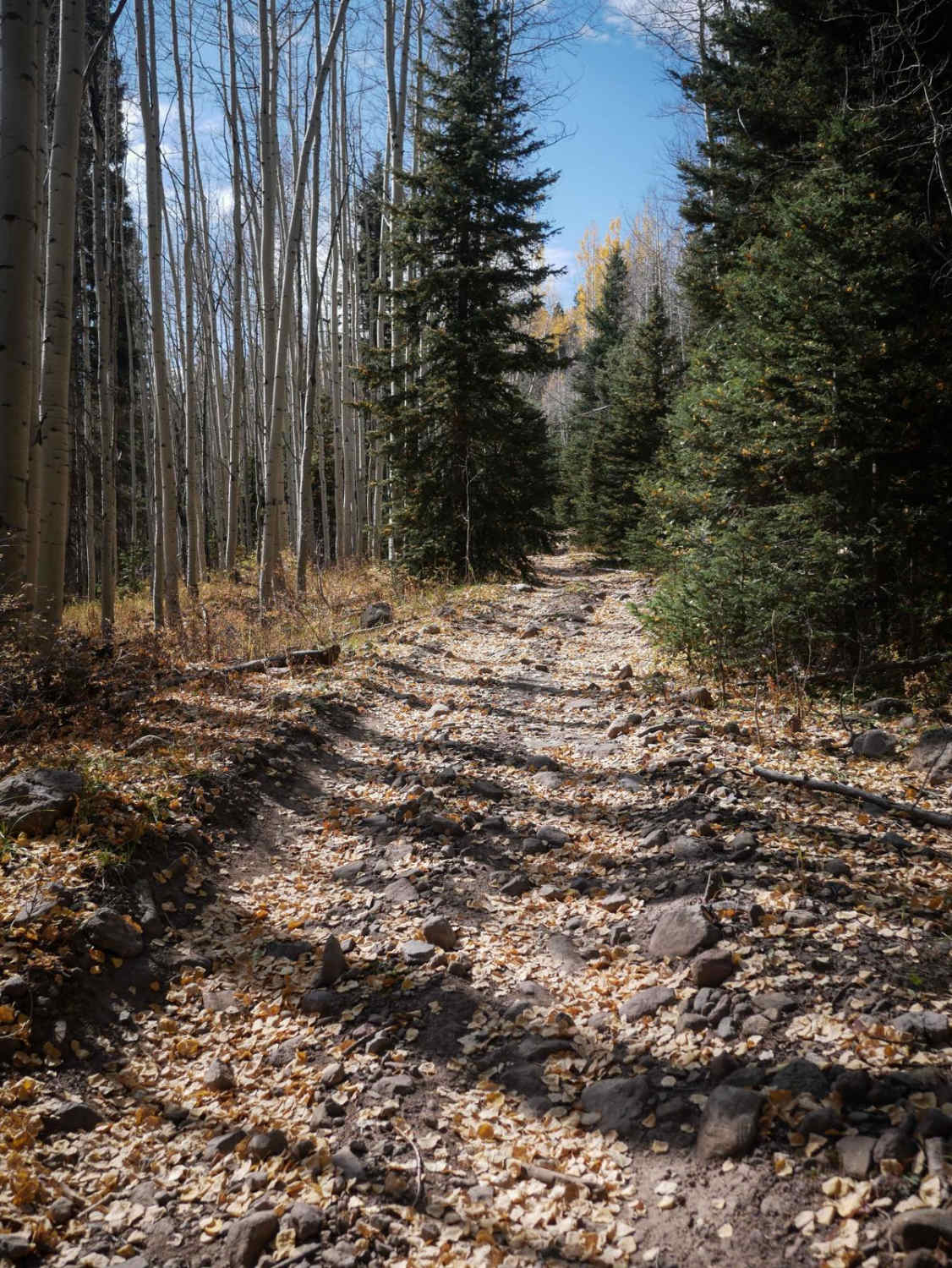 Lou Creek ATV 