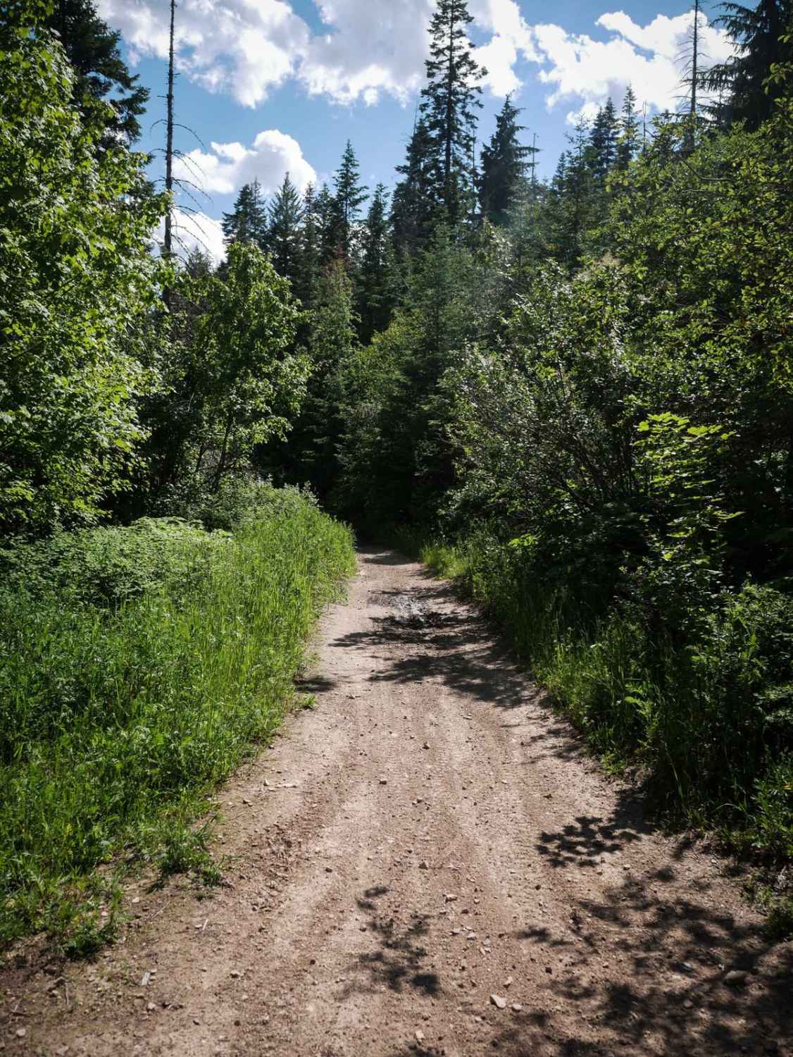 Canfield Mountain- Trail 6 