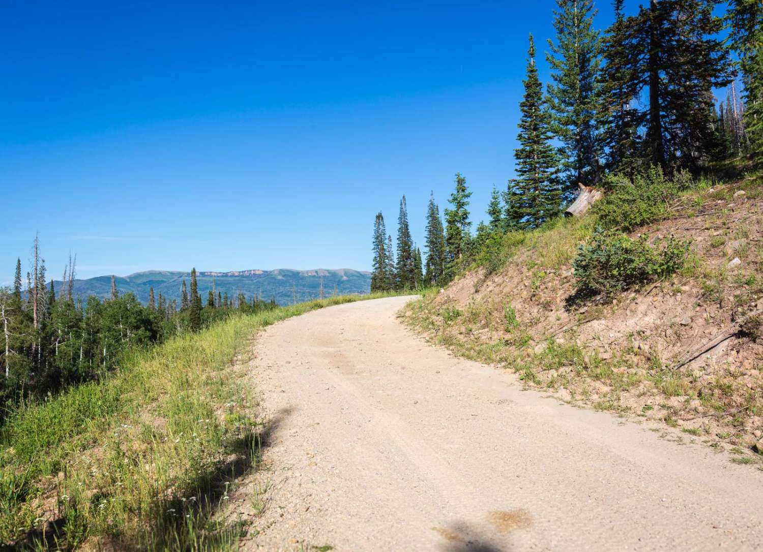 Murdock Bench - FR 70503