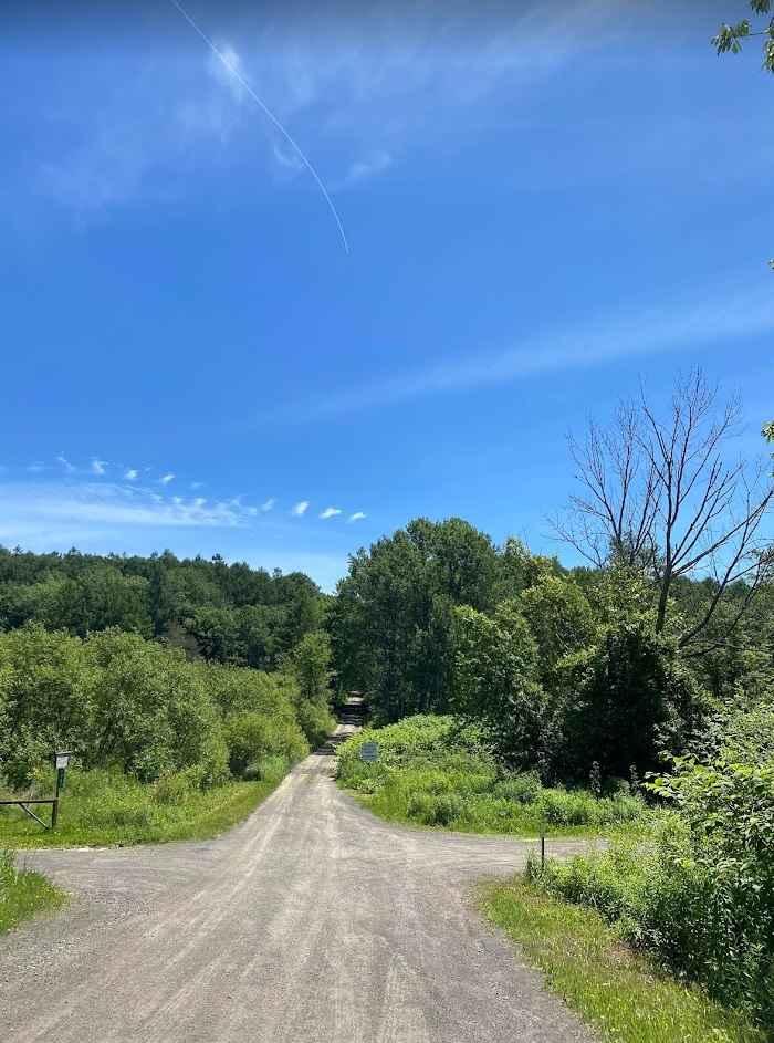 Kennedy State Forest - Hauk Hill Road