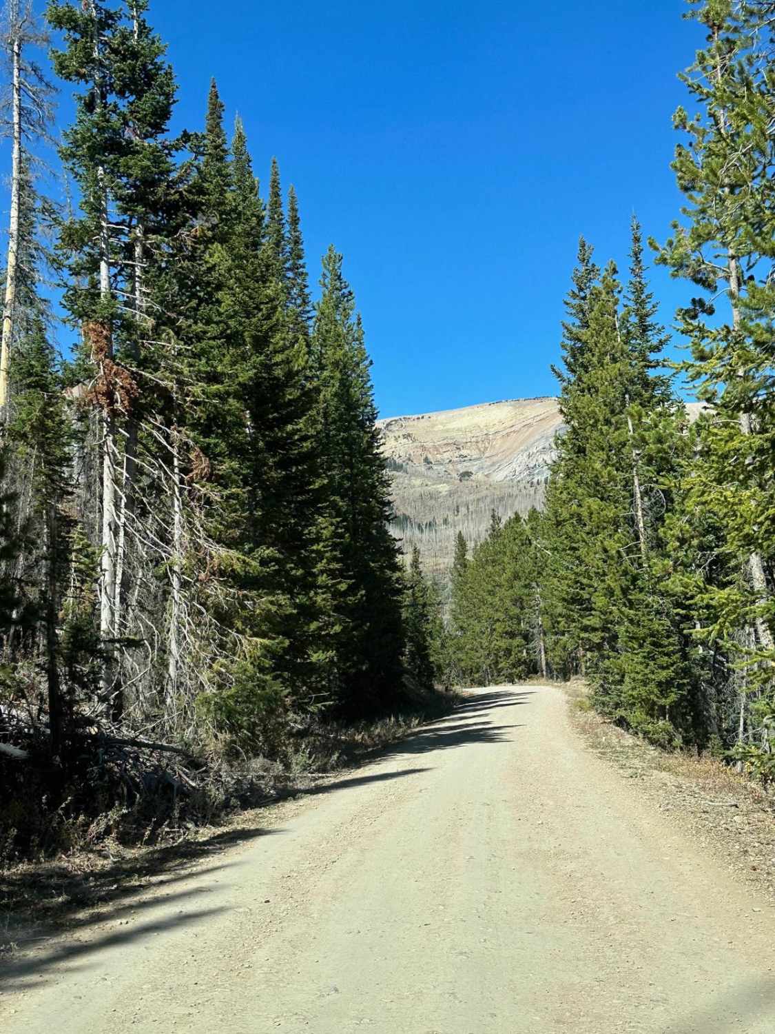 Wyoming Range 10046
