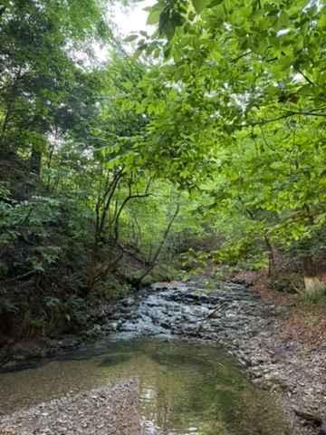 Jeff's Trail
