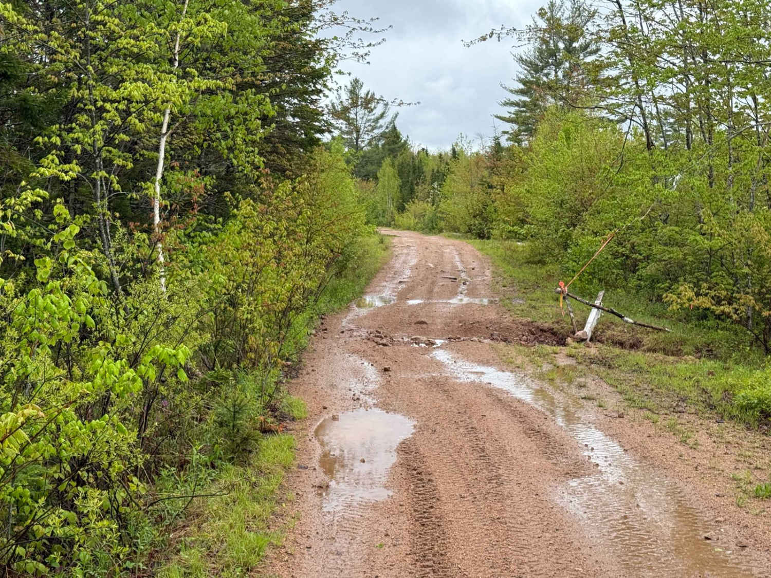 Sweet Road