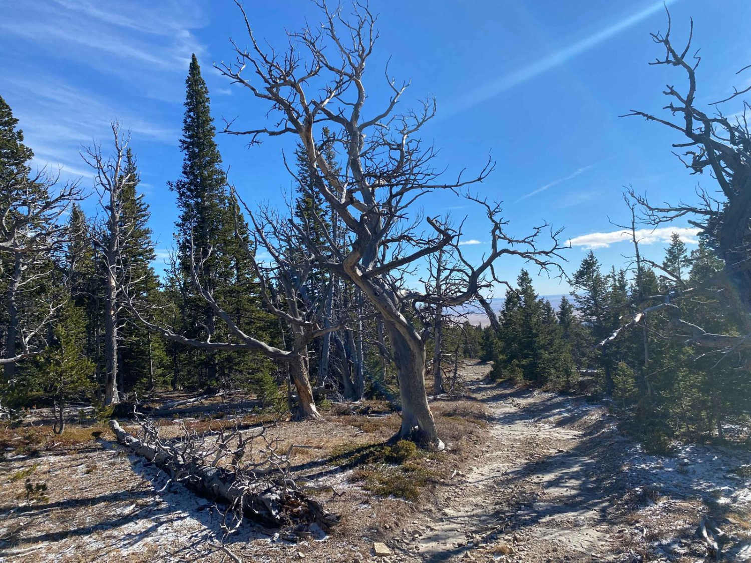 Bartleson Peak- J8823