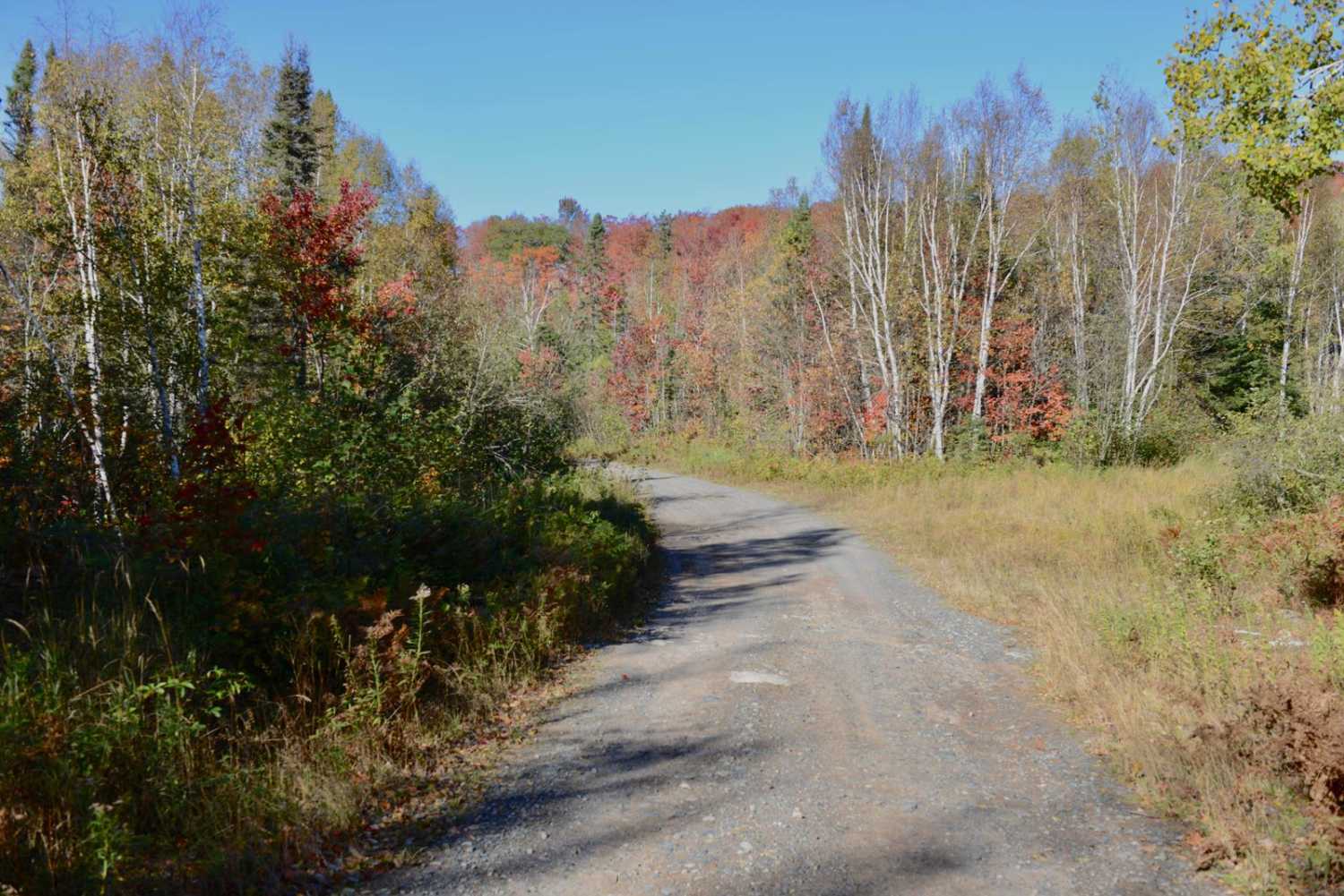 Dishno Road