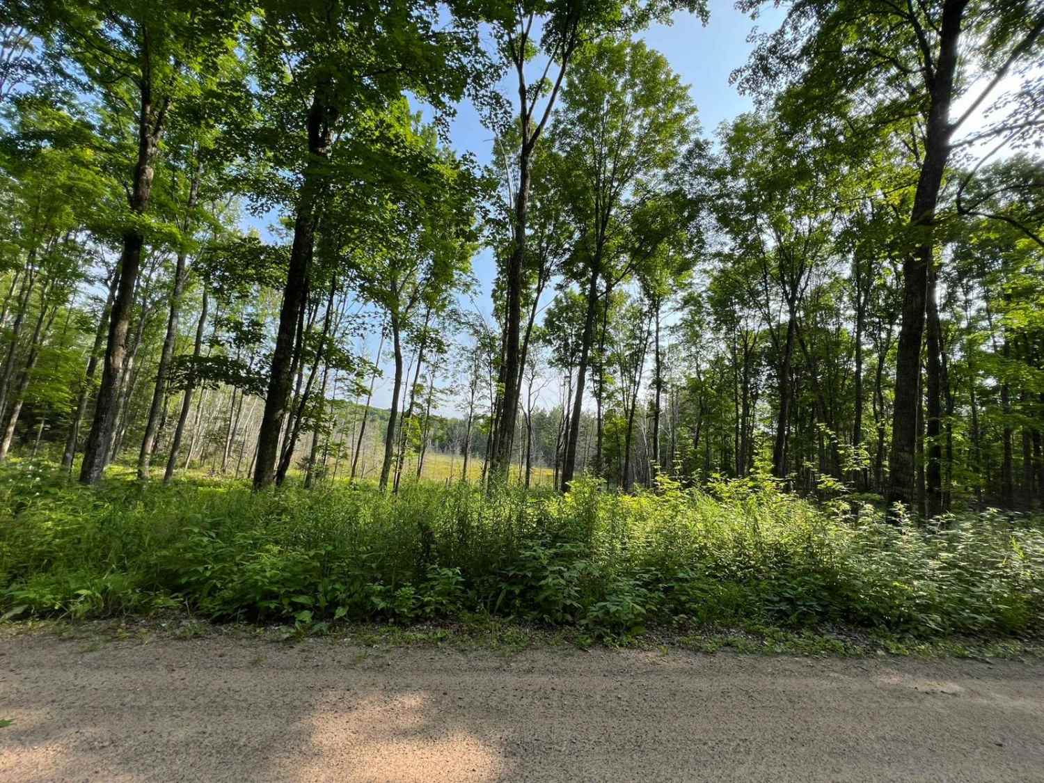 Borske Road - FS 2366