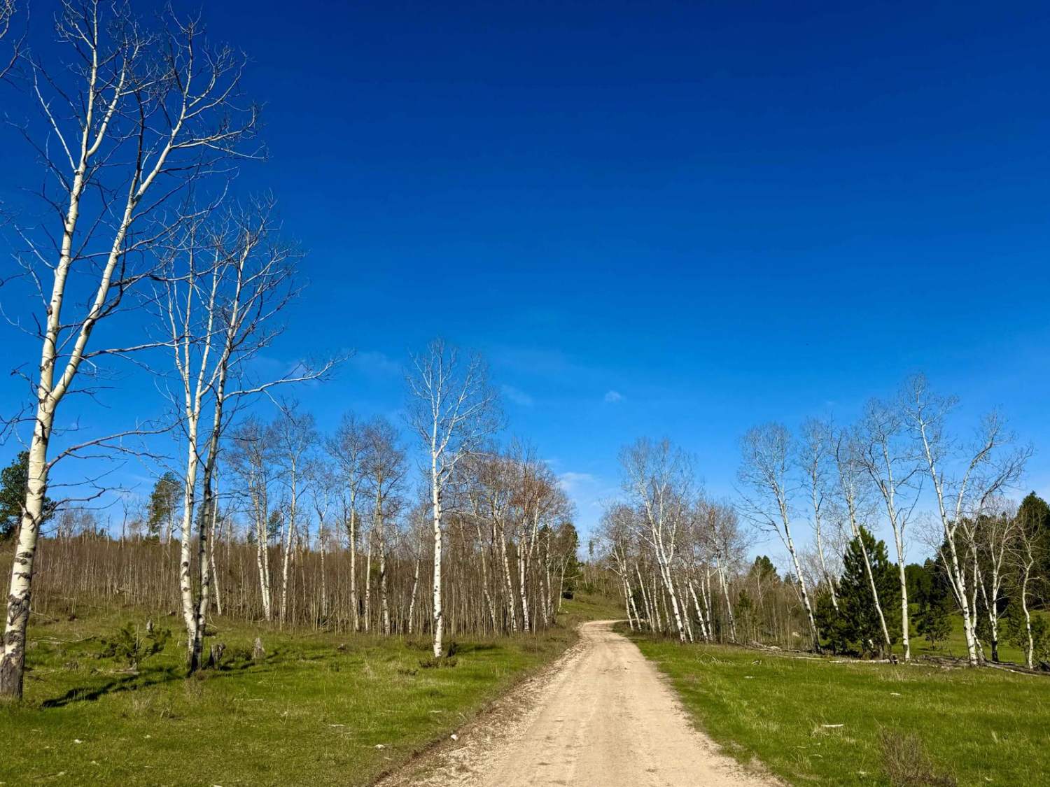 Gillette Canyon - FS 296