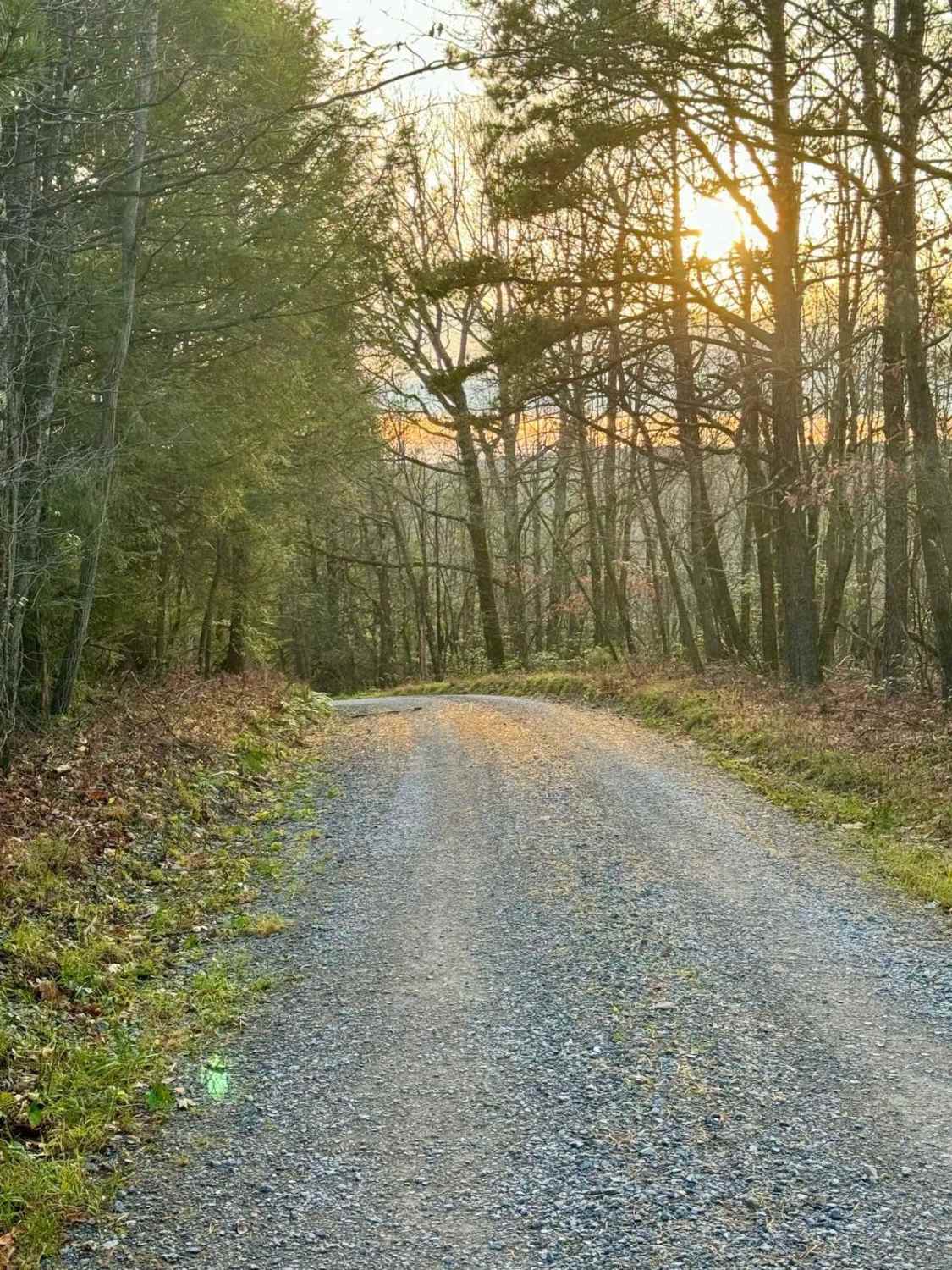Company 1330 Road