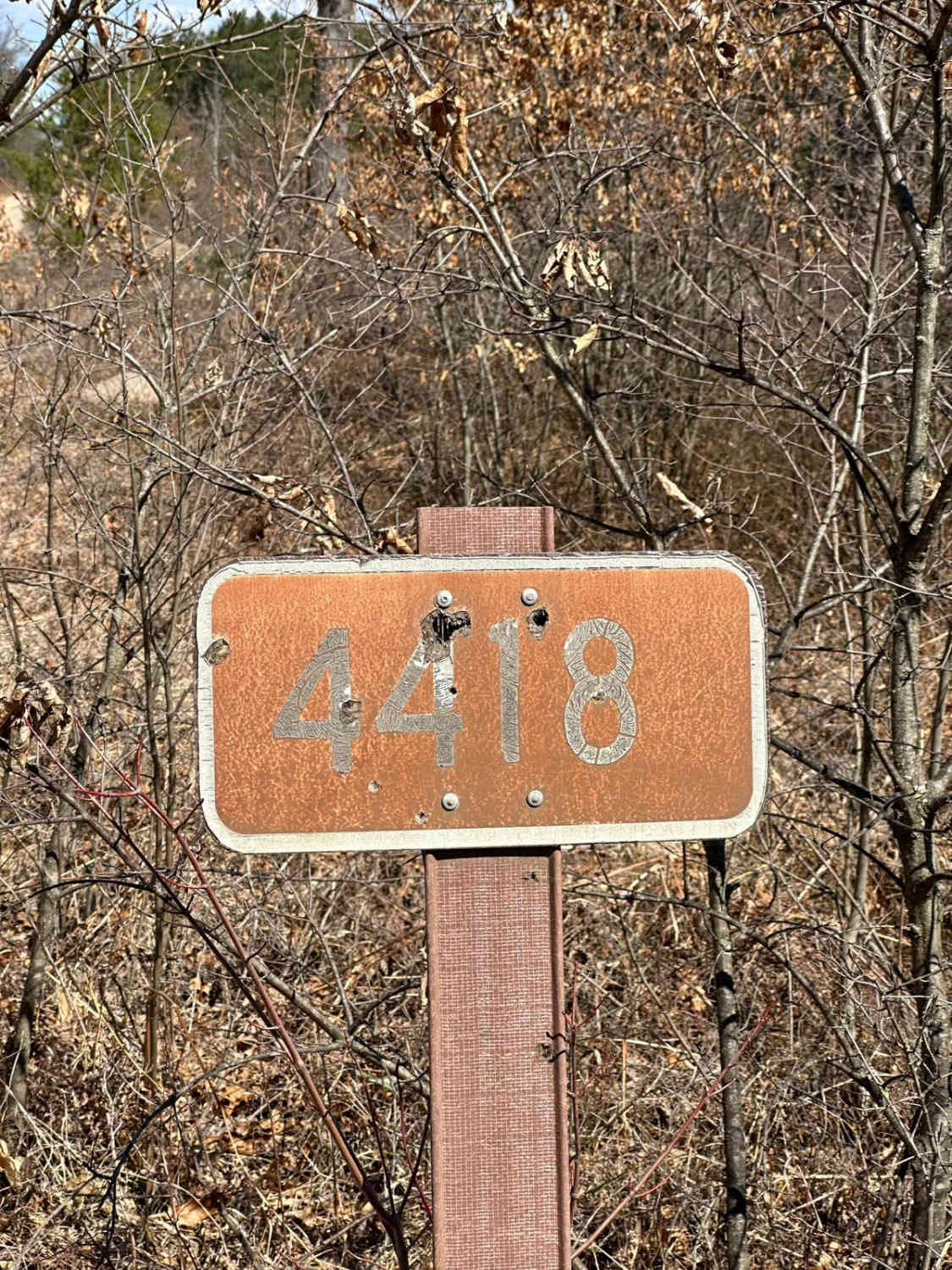 FS 4418