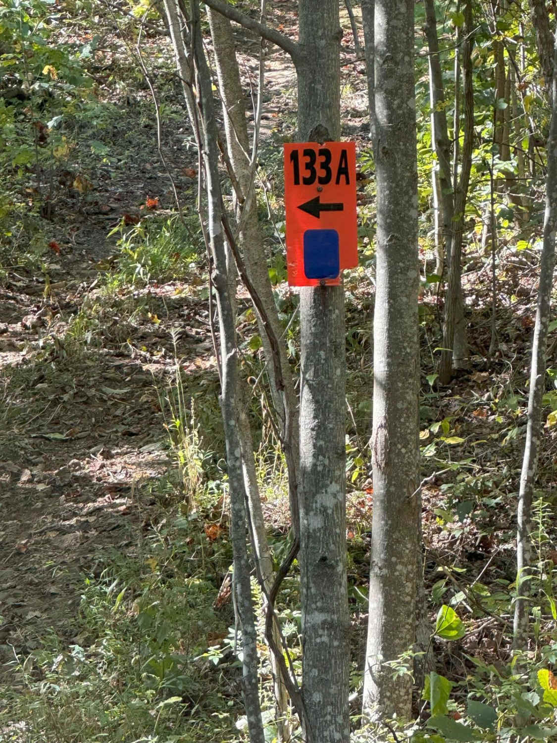 133A