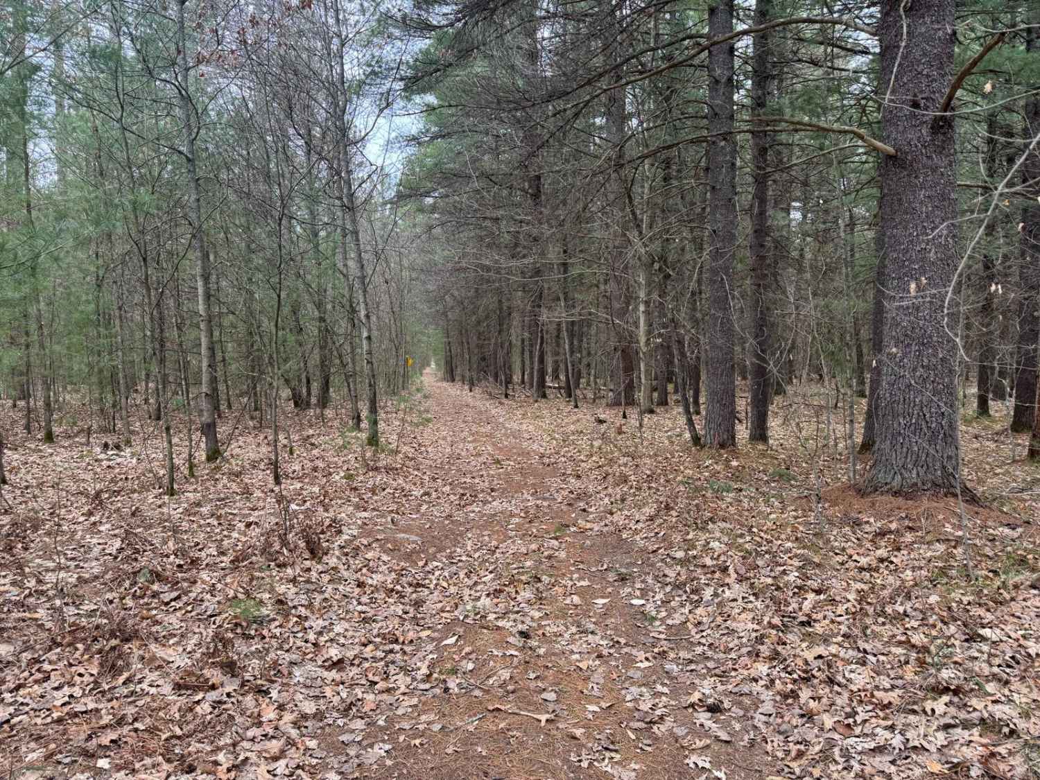Traverse City ORV Route South