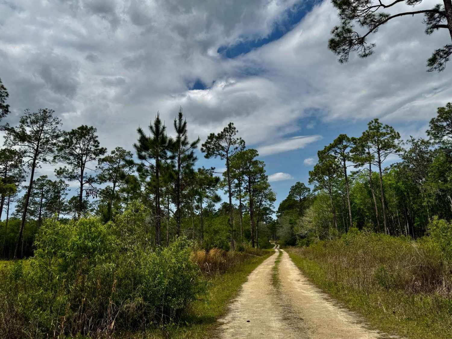 Tates Hell Creek Route