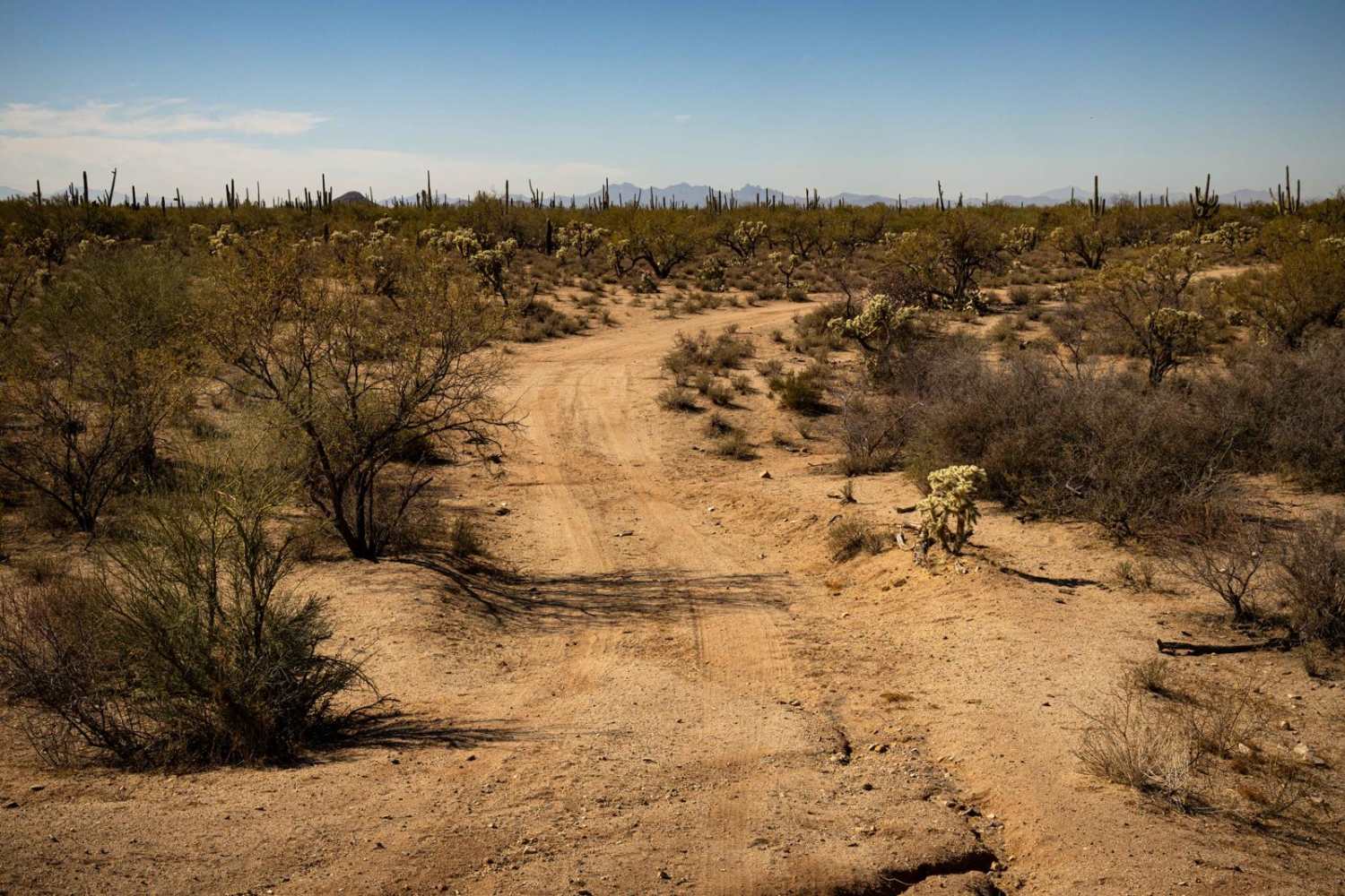 Mesa Tank to Wash Problems