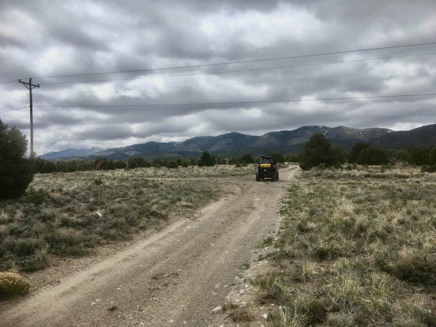 Ice Plant Springs Road