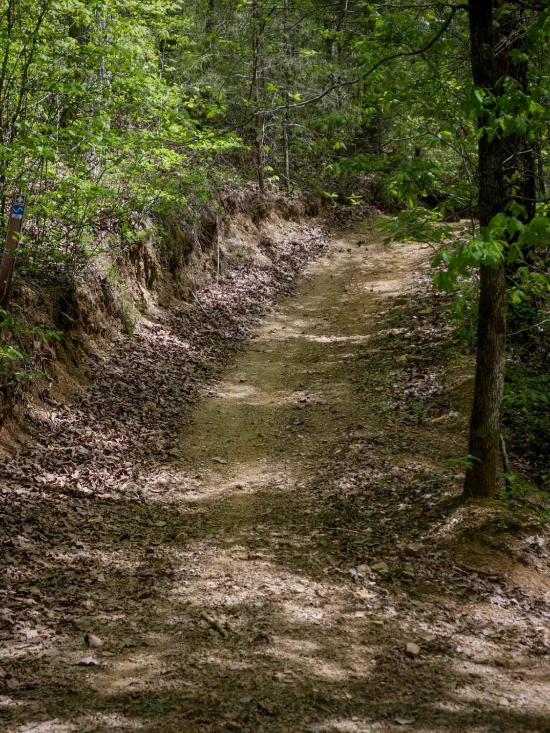Plantation Ridge Loop