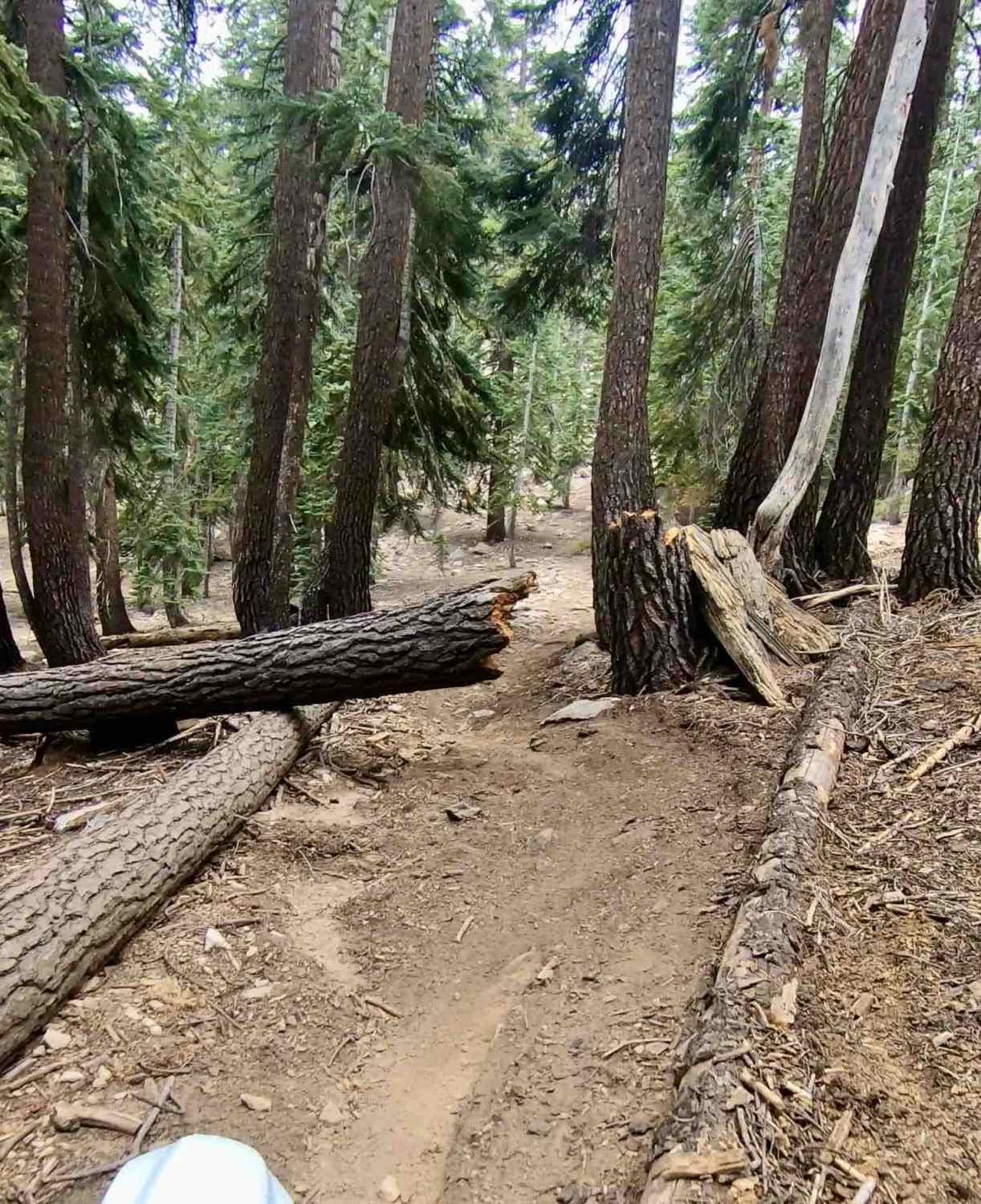 Sherman Pass