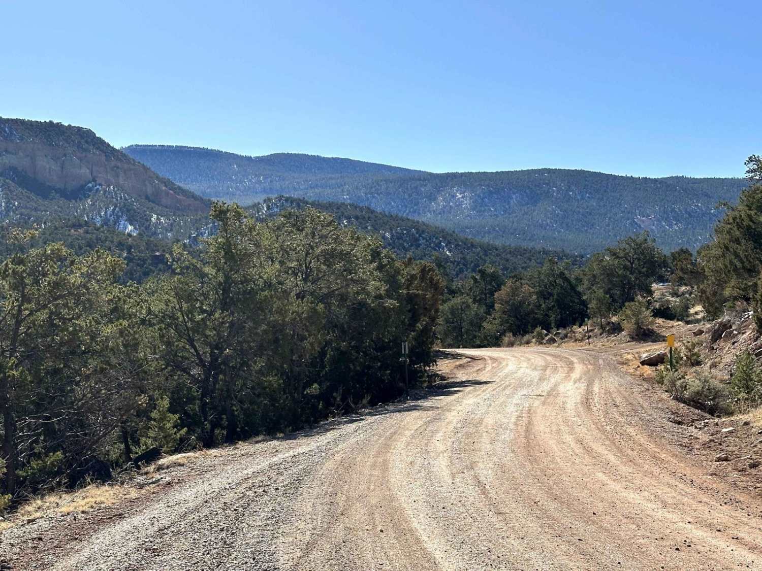 Coyote Camp Run