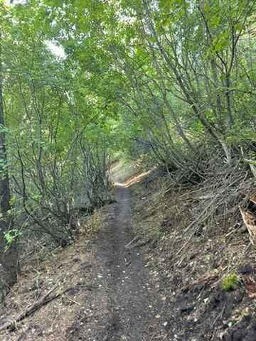 Crestline trail - Bell Marsh Creek
