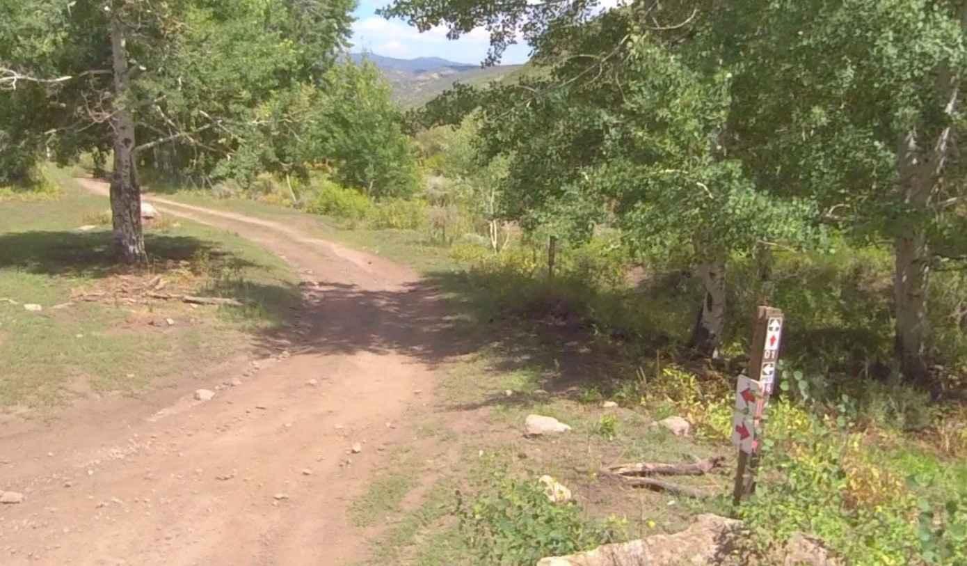 Cummings Creek Road- FS 41680