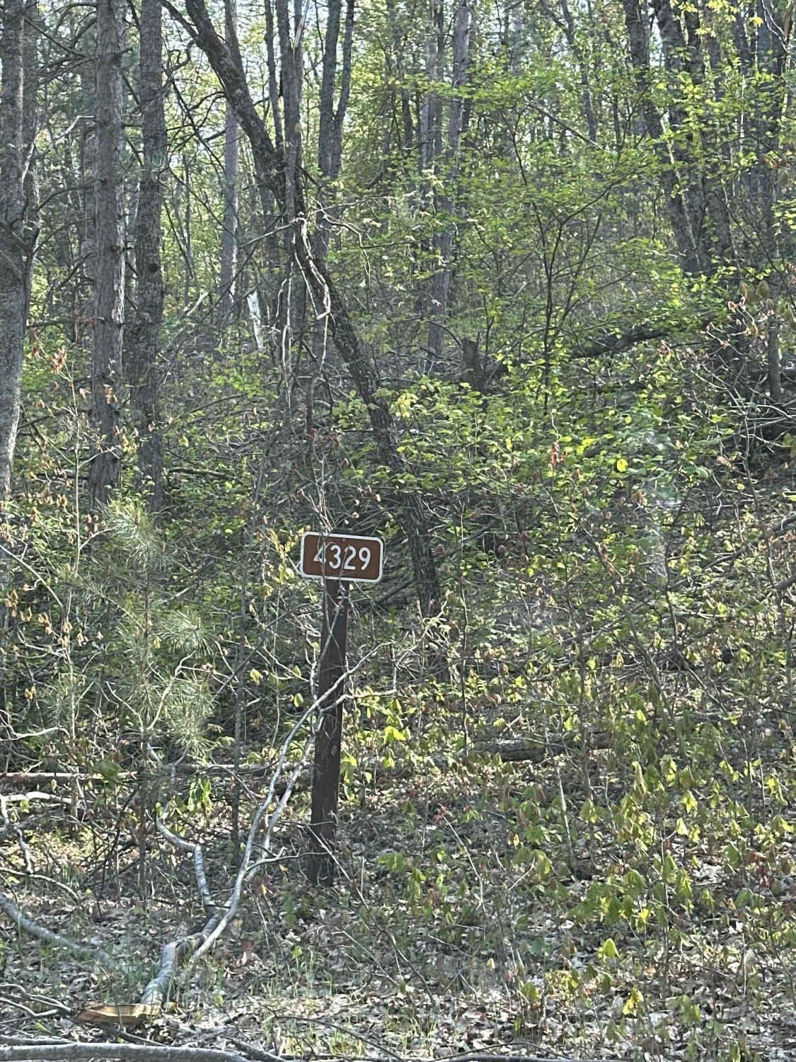 FS 4329