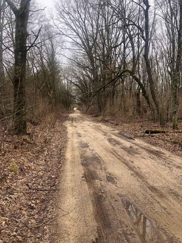 Allegan Forest 120th Street to 44th Street
