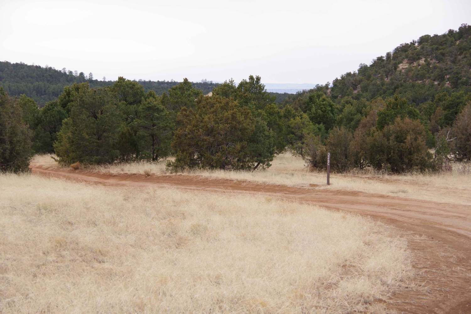 West Mesa Loop