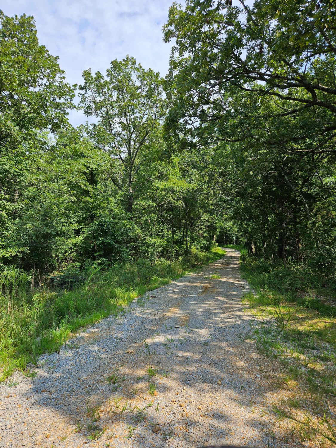 Camp Roy - FSR 3208