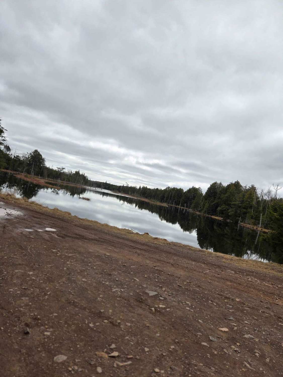 Buzz Lake