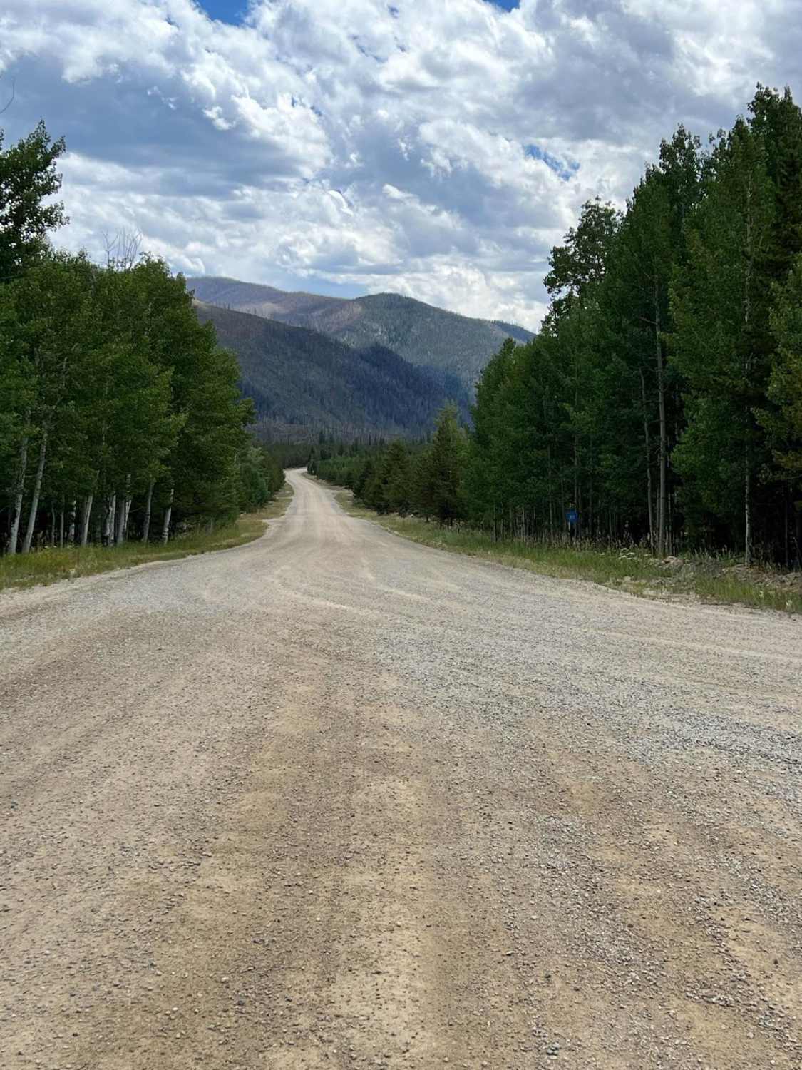 Williams Fork Road - FS 138