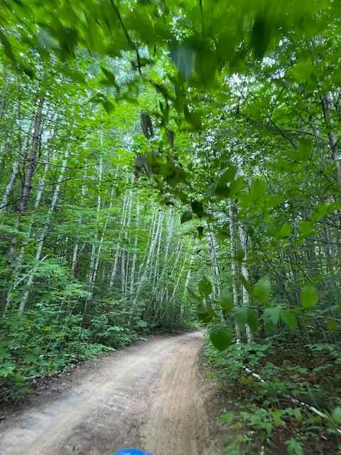 Wilderness Road