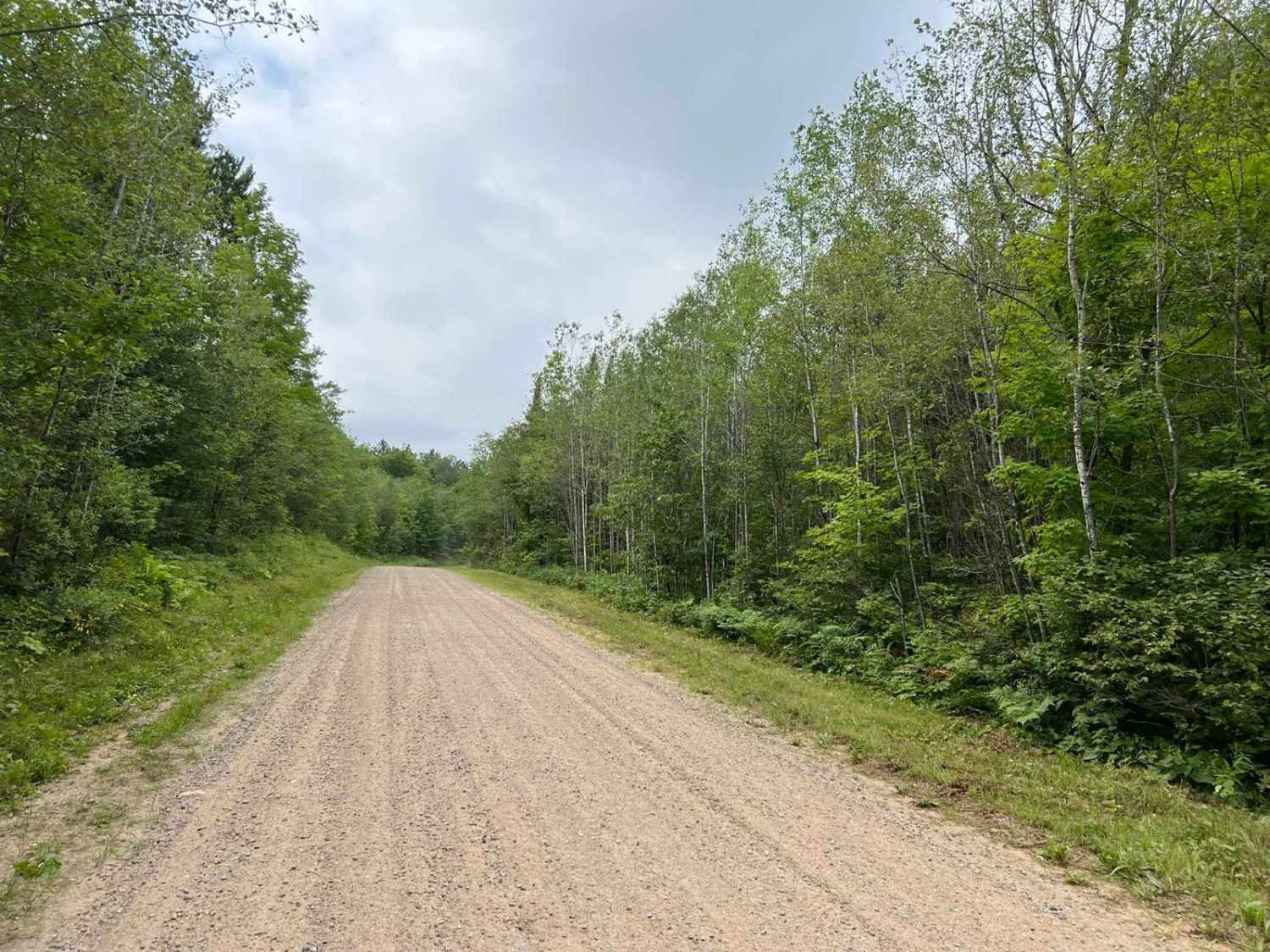 Peshtigo Reserve Road - FS 2695