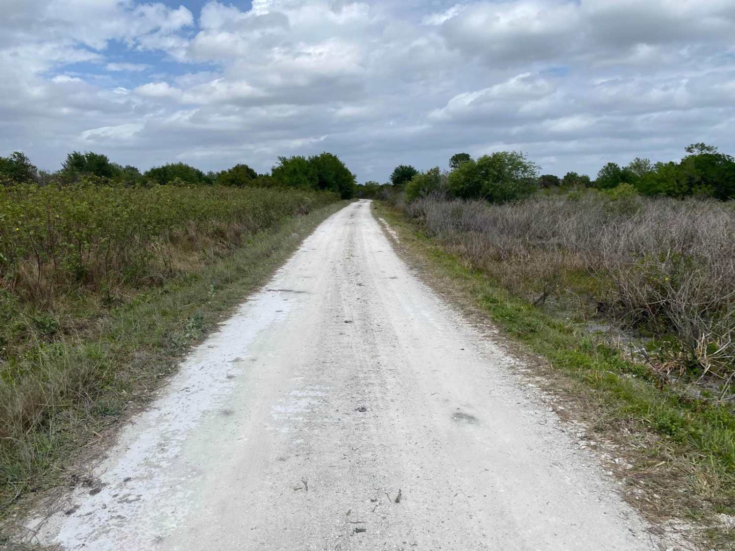 Albritton Loop