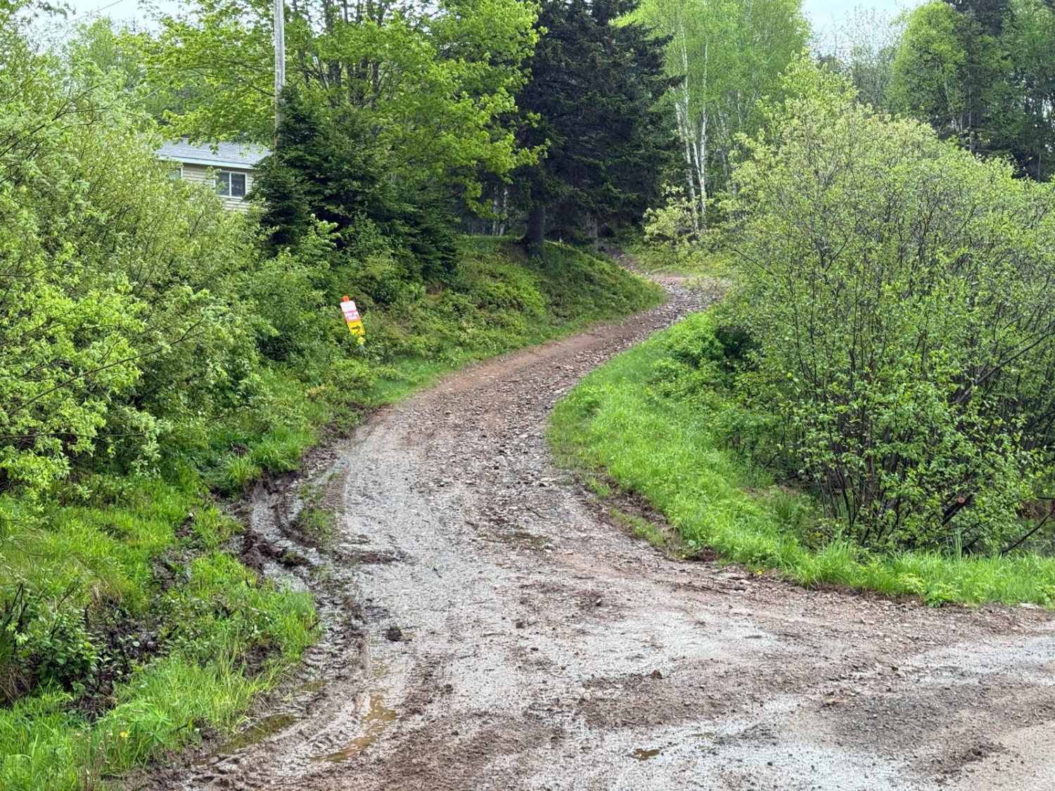 Kingsross Trail