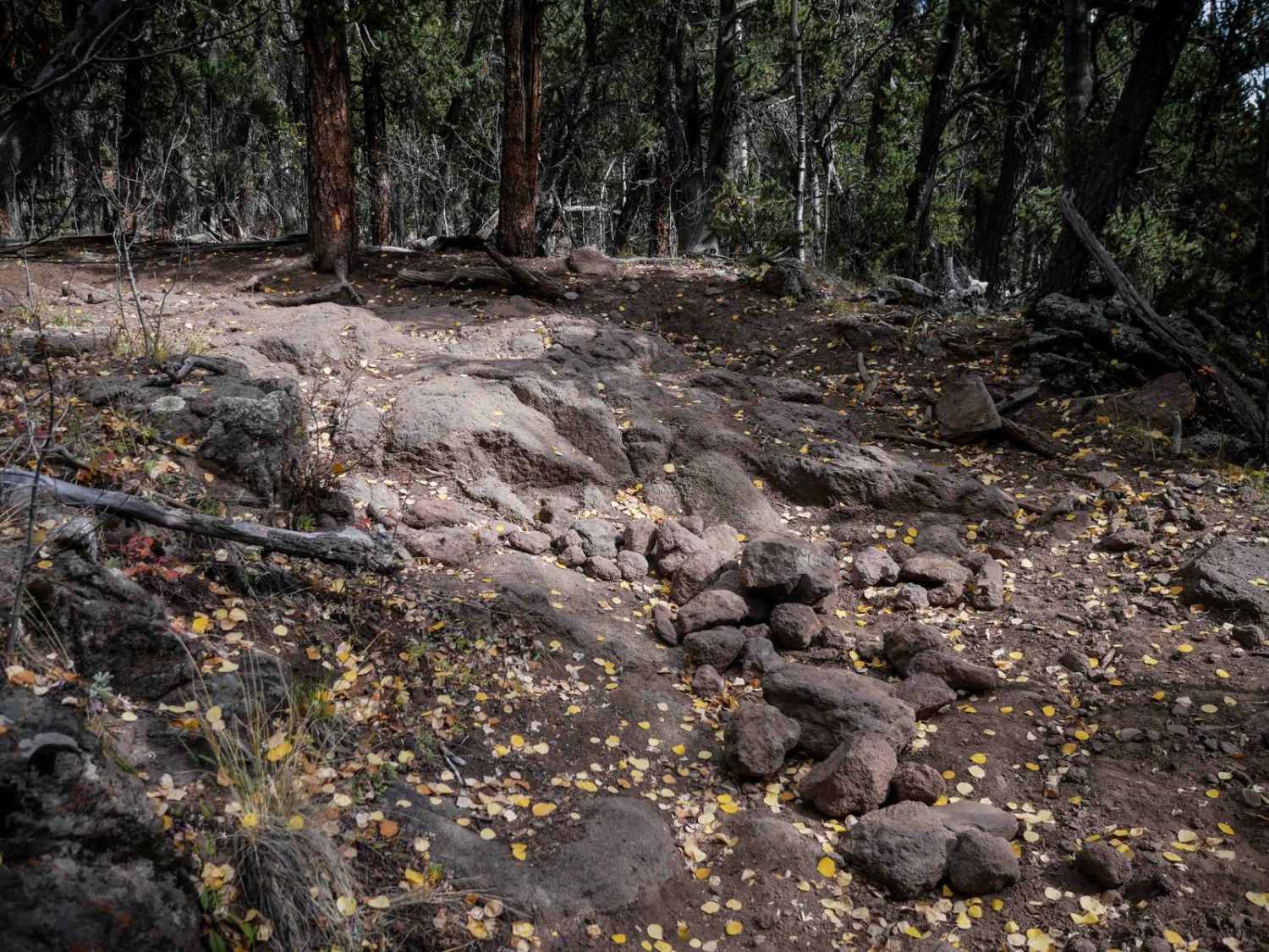 La Garita Creek Cutoff ATV 
