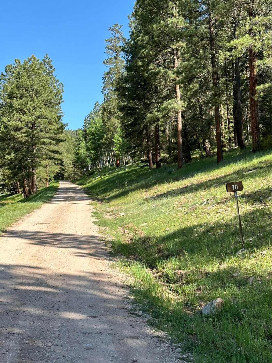 FR 70 American Creek