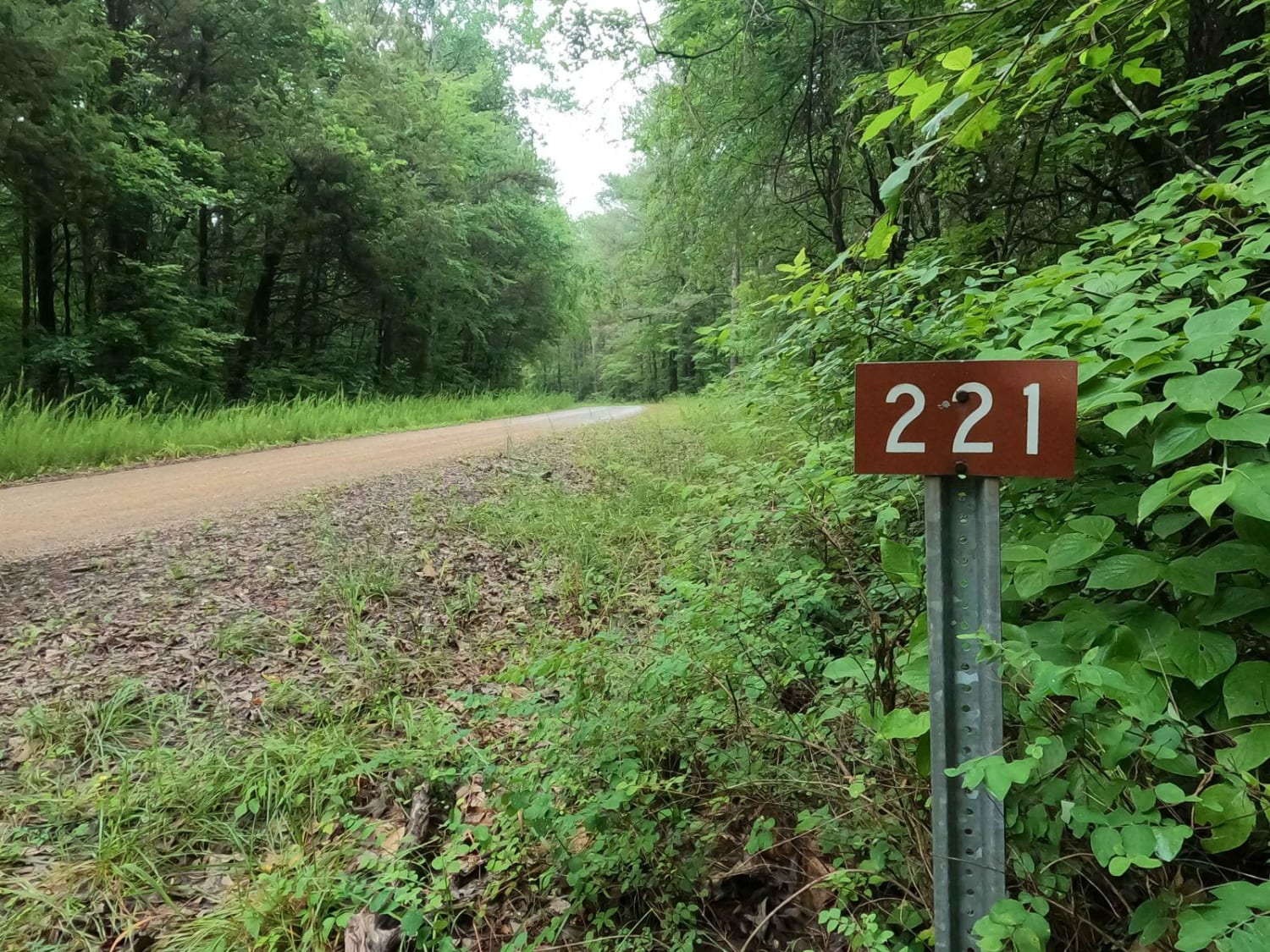 Tharpe Road FSR 221