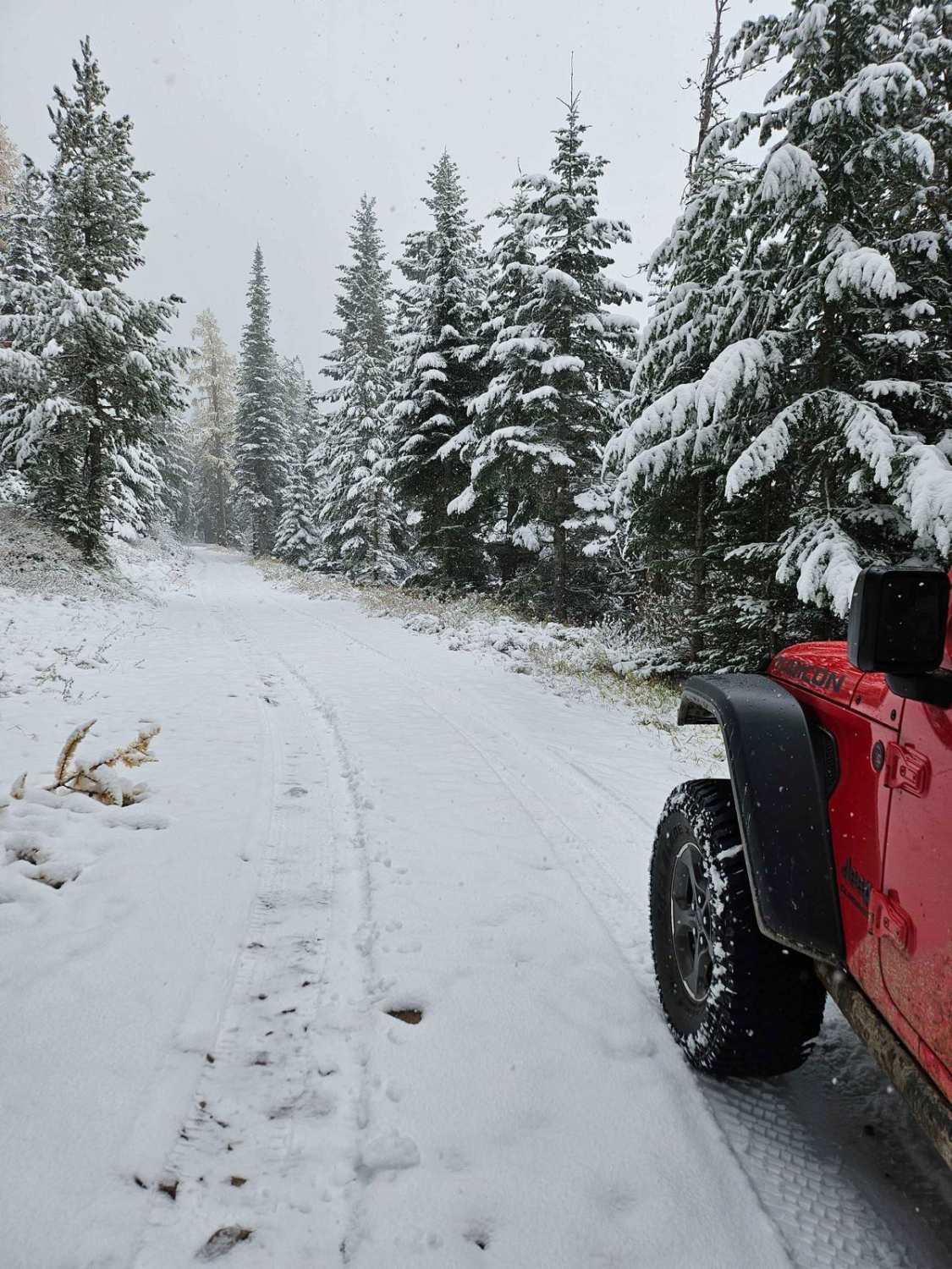 Beauty Creek Divide Trail