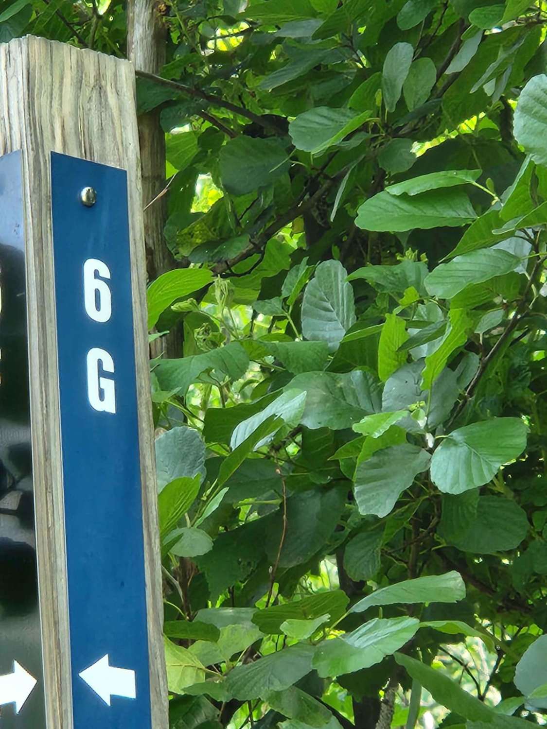 Trail 6G - Rock Run Recreation Area