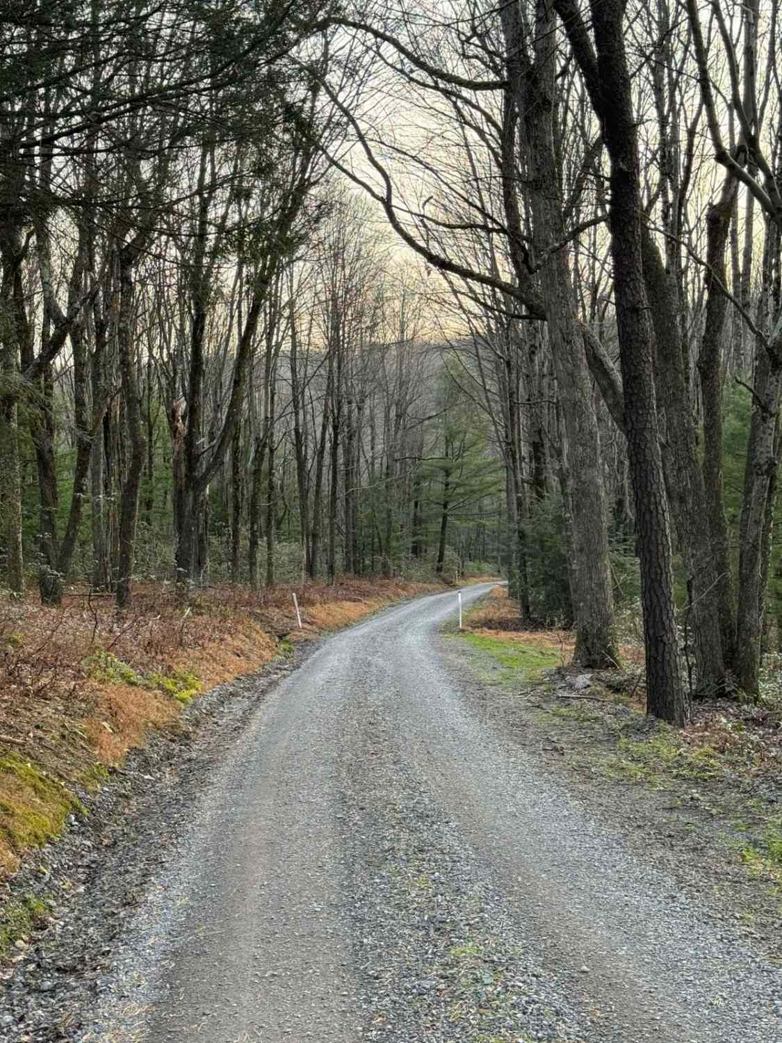 Middle Branch Road
