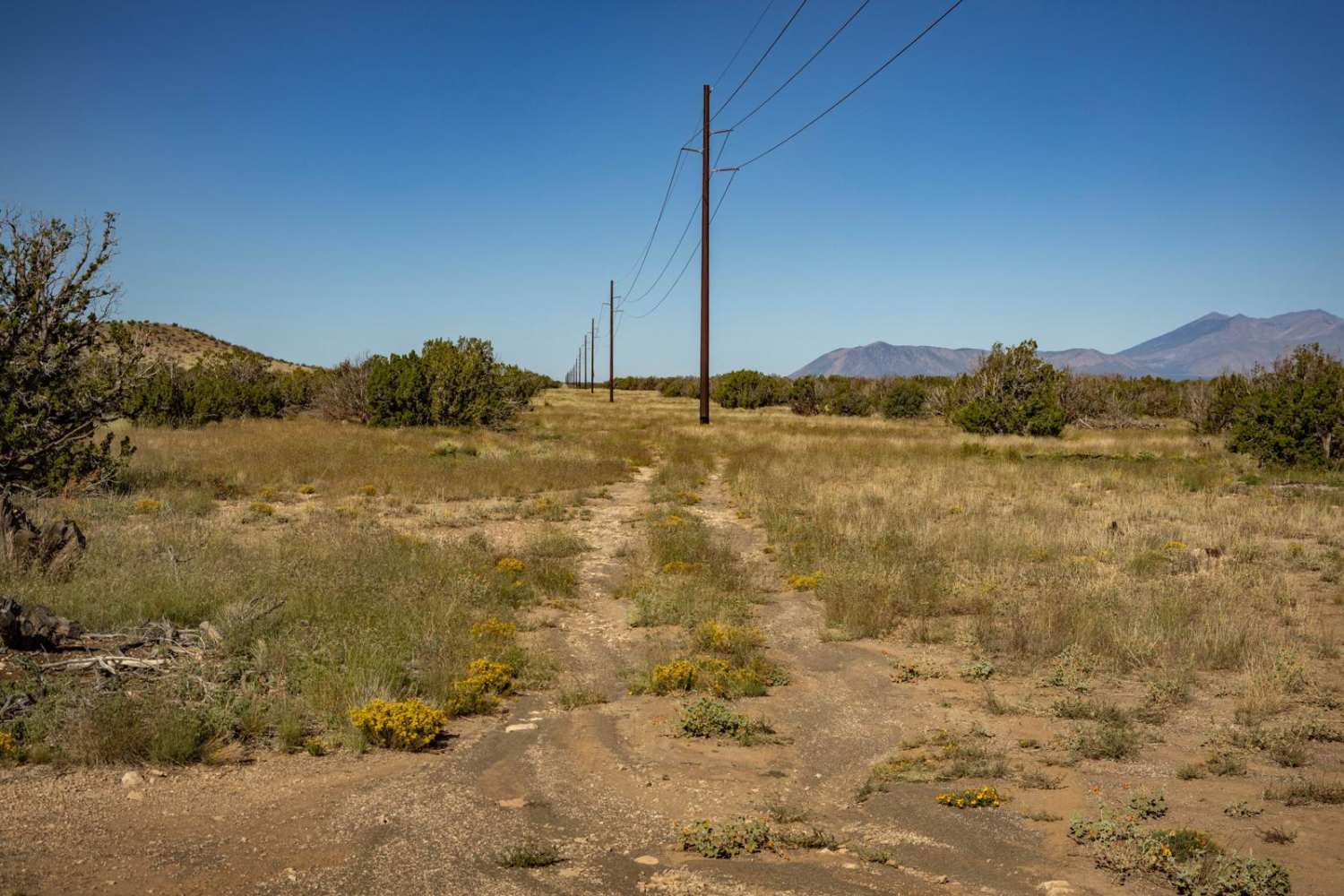 Power Access