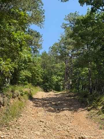Lynn's Loop