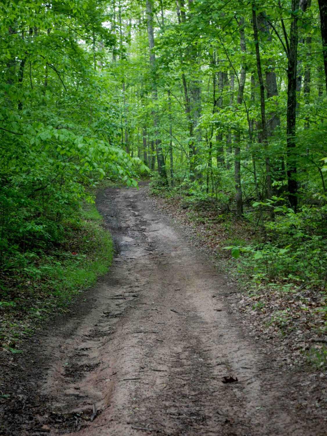 Trail 2