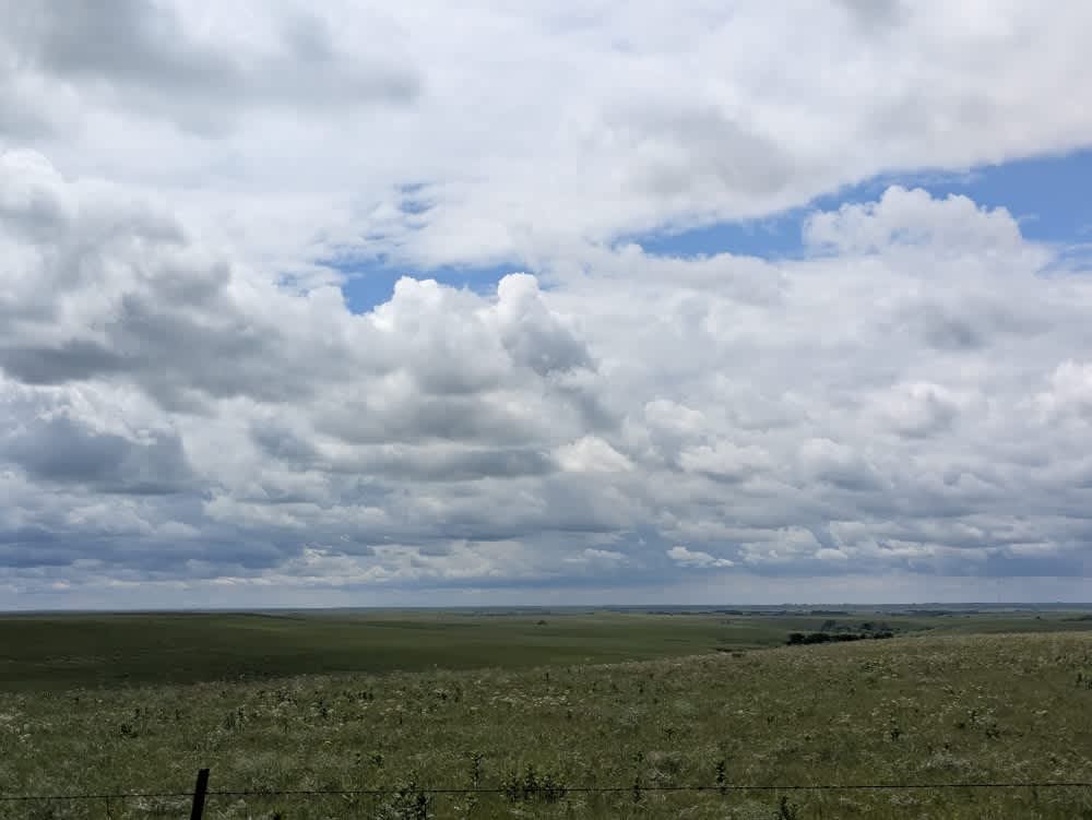 WP Road