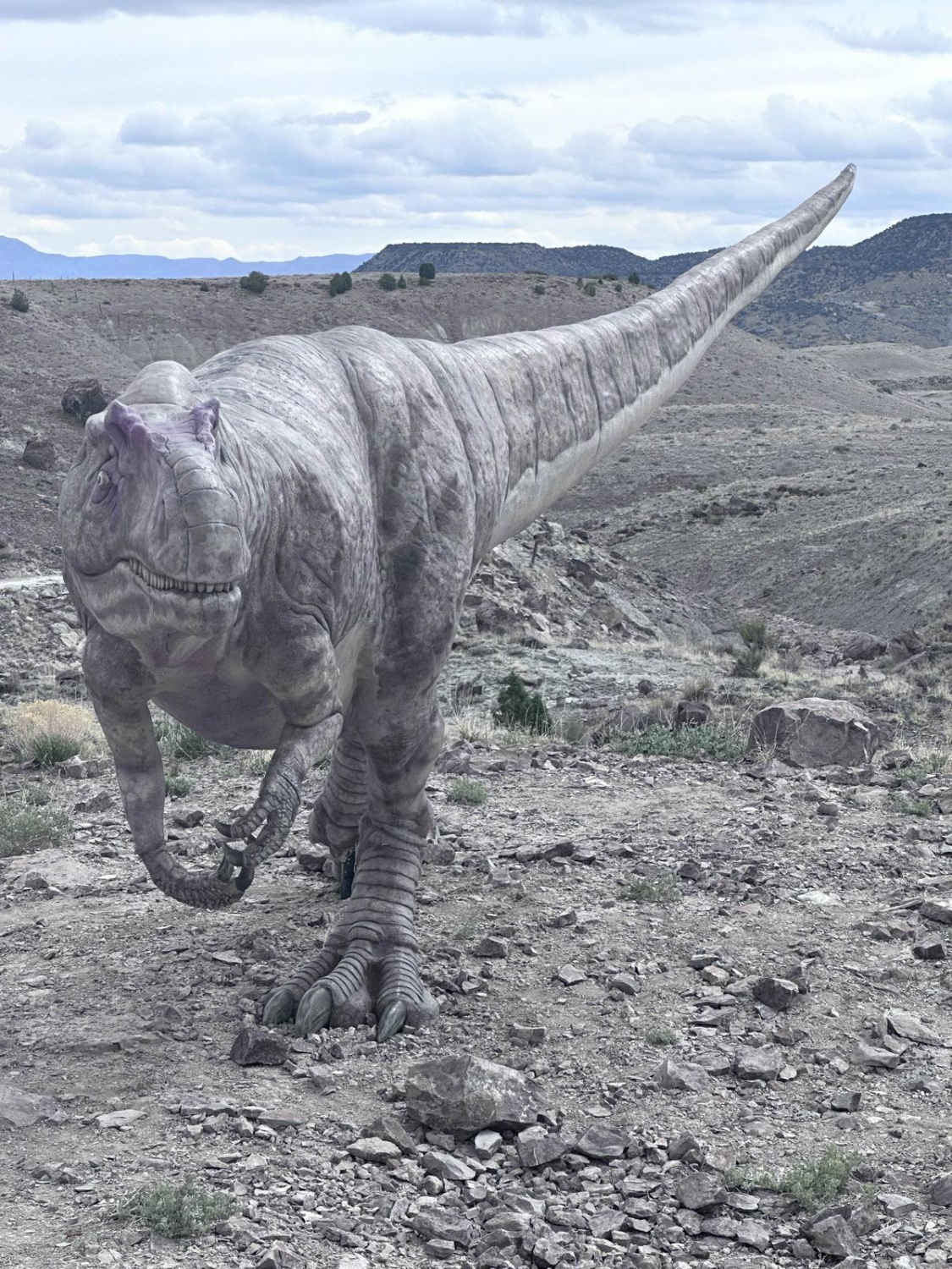 Dinosaur Quarry Road