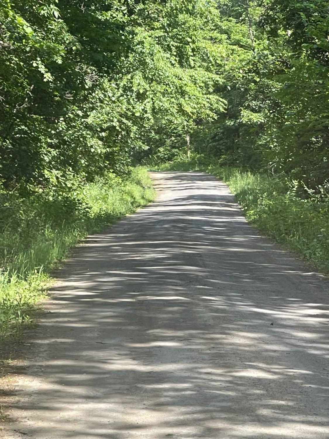 Sand Spring Road
