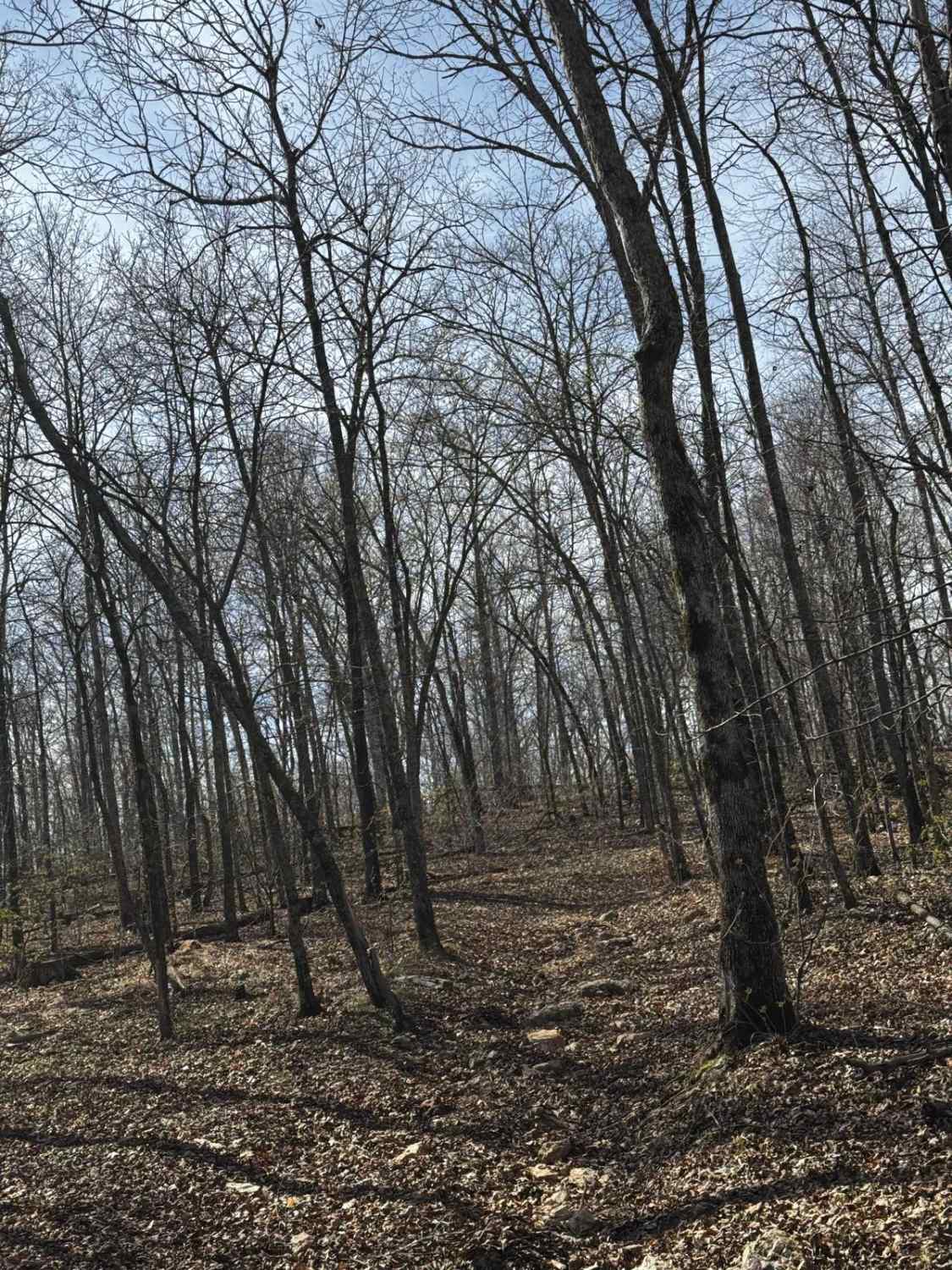 Hillside Trail