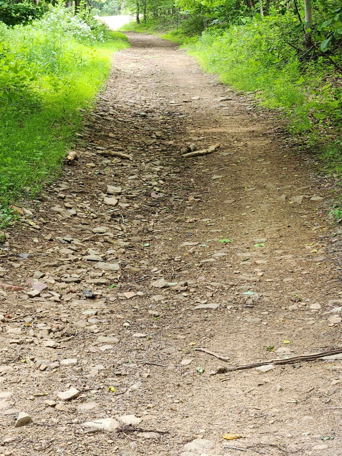 CW Road - Rock Run Recreation Area